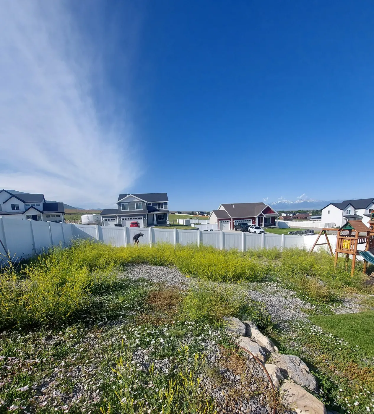 Before: Weedy rock yard cleaned up
